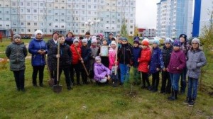 Экологический отдел Экологический отдел