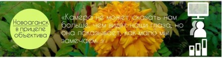 СТУДИЯ "Нтv-шка" (педагог Шамало Нина Николаевна) СТУДИЯ "Нтv-шка" (педагог Шамало Нина Николаевна)